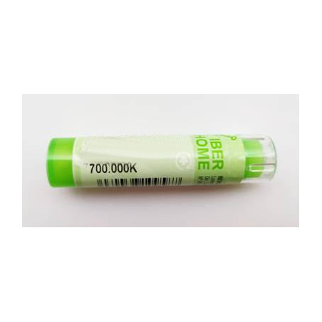 Comprar ARSENICUM IODATUM 700.000 K (700.000K) GRANULOS 4 GR IBERHOME