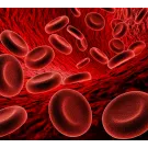 Subcategoría Anemia