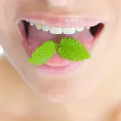 Subcategoría Halitosis
