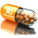 Subcategoría Vitamina b2 / riboflavina