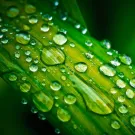 Subcategoría Lubricantes