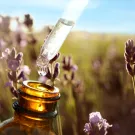 Subcategoría Perfumes con aceites esenciales