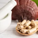 Subcategoría Micoterapia