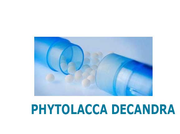 PHYTOLACCA-DECANDRA